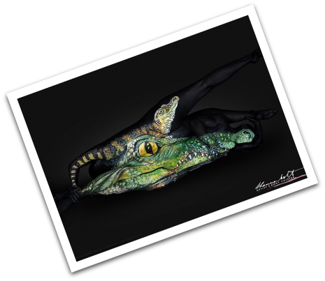 Description de l'image