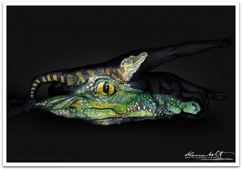 Description de l'image